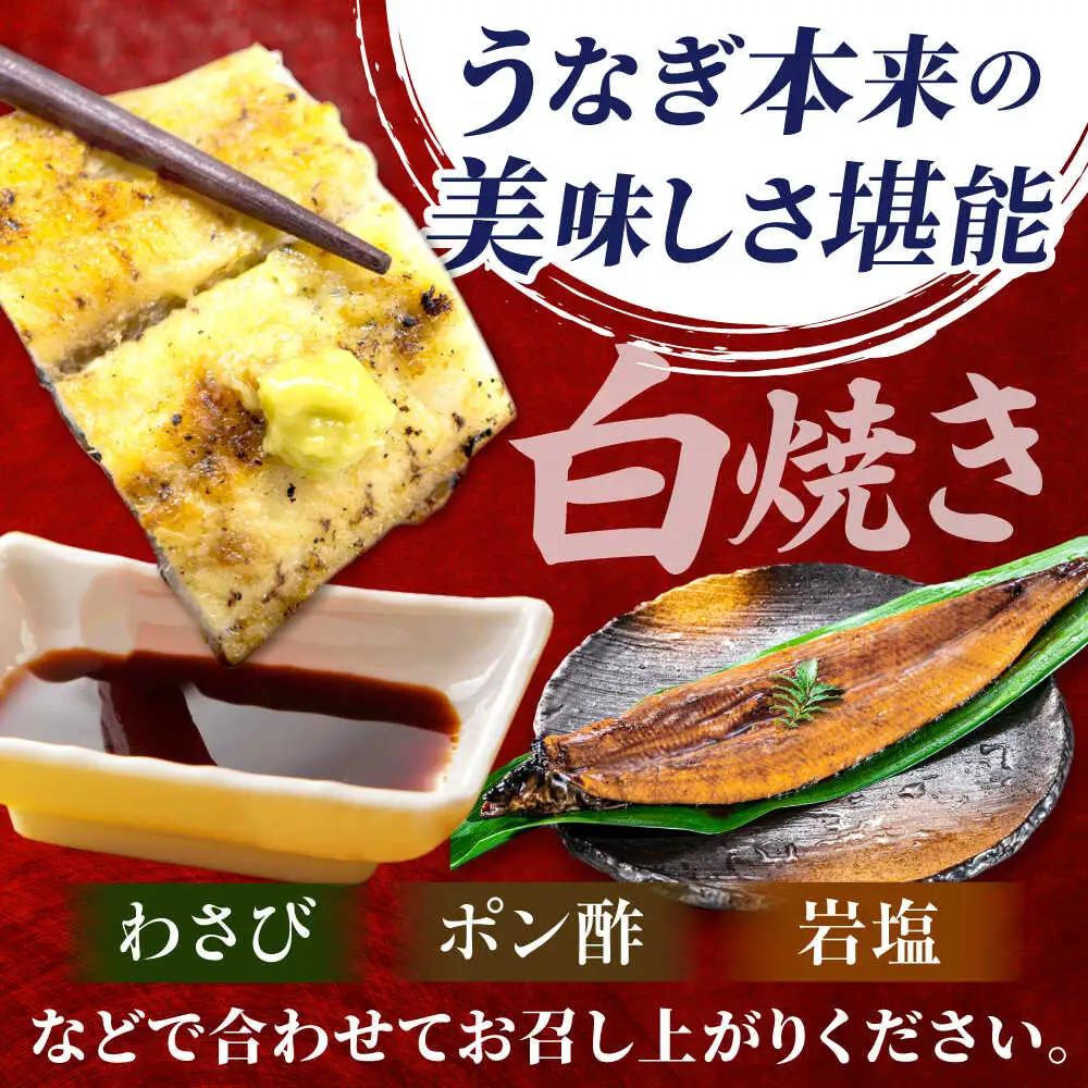 【6回定期便】国産 上うなぎ 白焼き 1尾 約150g / 鰻 ウナギ うなぎ 白焼き / 御嵩町 / 鰻 季節料理 魚邦[AVBH025]