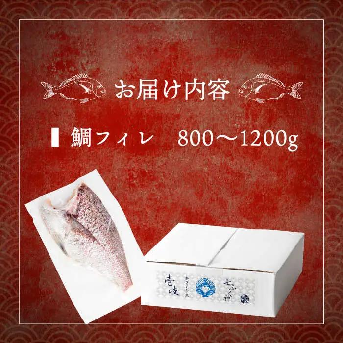 壱岐産 鯛 フィレ 800gから1.2kg [JDT006]