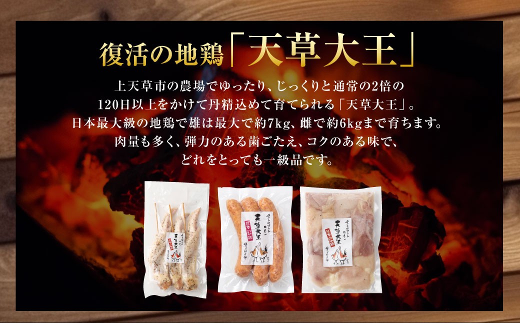 天草大王プレミアムバーベキューセット（大） 計12パック