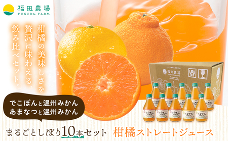 まるごとしぼり 10本セット《30日以内に出荷予定(土日祝除く)》