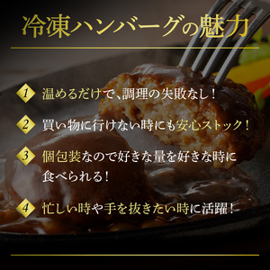 大容量！デミグラスソースハンバーグ　160ｇ×20個セット 【数量限定】K04404