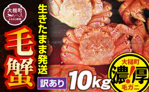 【訳あり】【令和8年発送】三陸産！活毛ガニ 10kg【2026年2月~4月発送】【配送日指定不可】