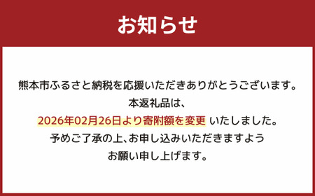【5ヶ月毎3回定期便】 ジューシー プレミアム 熊本みかんストレート 100％ 200ml×24本 みかん ミカン 蜜柑 ジュース みかんジュース オレンジジュース 紙パック 国産