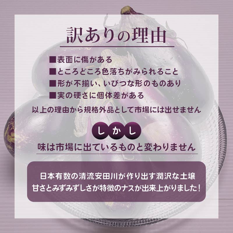 【先行受付】 【2回定期便】 安田町産 「超」 訳あり ナス なす なすび 1kg  新鮮 野菜 茄子 産地直送 季節限定 夏野菜 ふるさと納税茄子  ふるさと納税なすお漬物 漬物 味噌汁 みそ汁 マ