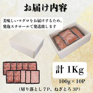 天然本マグロ セット 1kg(100g×10P） まぐろ ネギトロ