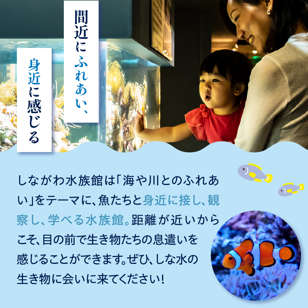 しながわ水族館ペア入館券