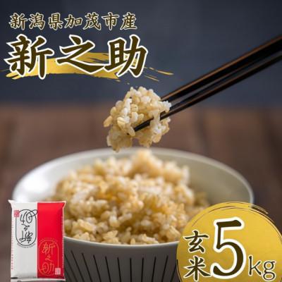 ふるさと納税 加茂市 令和7年産　新之助　玄米5kg