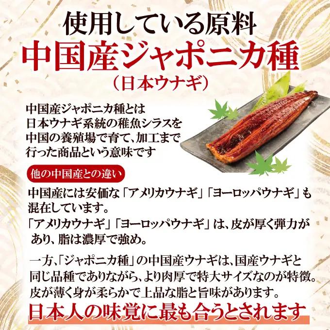 うなぎ 訳あり 蒲焼き 1尾 計300g以上  【うなぎ】【ho1684】