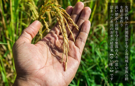 お米 10kg (5kg×2袋) 思いを繋ぐ糸川のお米 結意米 【ゆいまい】和歌山県産 【みかんの会】