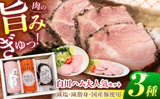 【お歳暮】白川ハム 人気！3種セット（ プレスハム ・ ゆず味プレスハム ・ パストラミハム ） ハム ボンレスハム プレスハム パストラミ 詰め合わせ 白川町 / 白川町農業開発 [AWAH015-1]