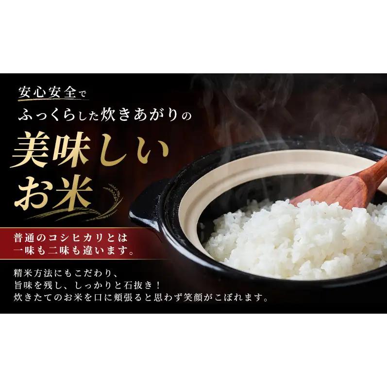 令和7年度米 新潟市産 越後金四郎コシヒカリ（特別栽培米）20kg