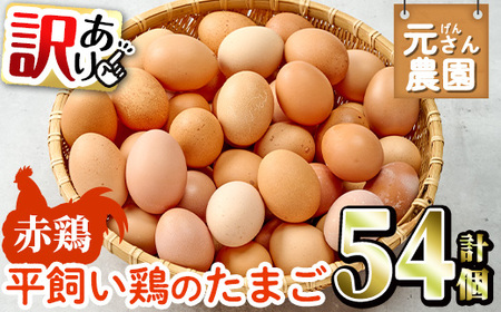 ＜訳あり・規格外＞ 平飼い赤鶏のたまご (計54個) 元さん農園 卵 玉子 卵かけご飯 玉子焼き 平飼い 鶏 鶏卵 養鶏場直送 新鮮 大分県 佐伯市 【GE008】【 (株)海九】