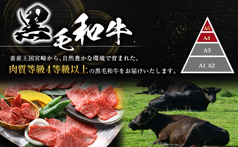 <肉質等級4等級以上>黒毛和牛 霜降り 焼肉 計500g 牛肉 BBQ 国産 宮崎県産【B651-2510-90】