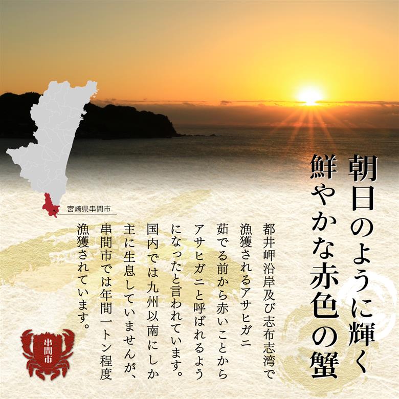 HRAGT-1 宮崎県串間産アサヒガニ 特大サイズ(計約1kg・2~3匹)【合同会社Houryoumaru】