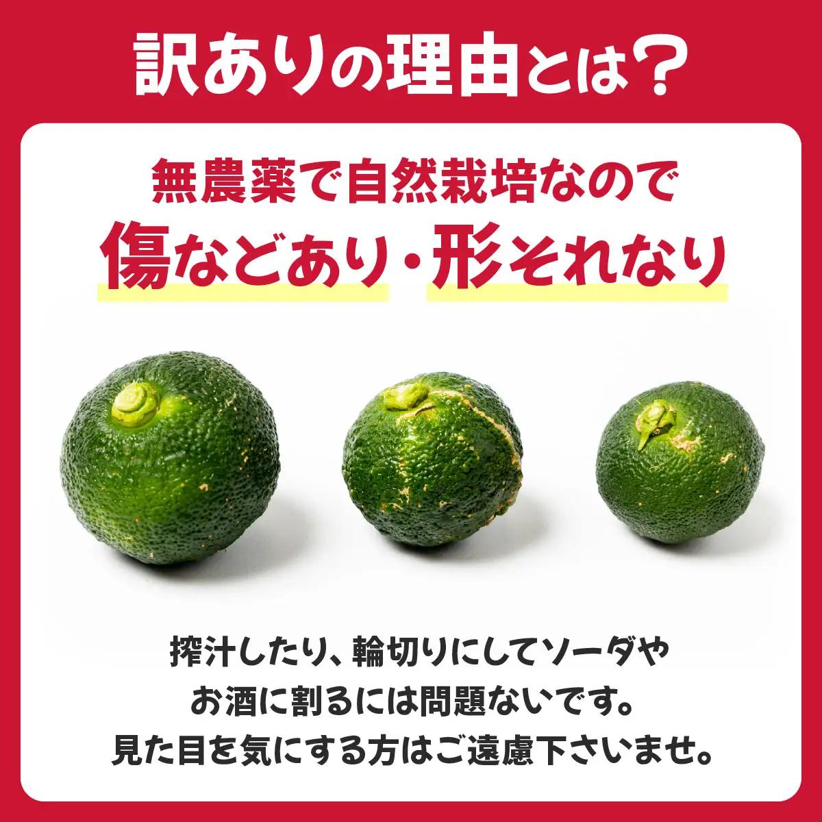 【先行予約】 青ゆず（訳アリ）青柚子 ゆず 柚子 訳あり 2.5kg（20～40玉）