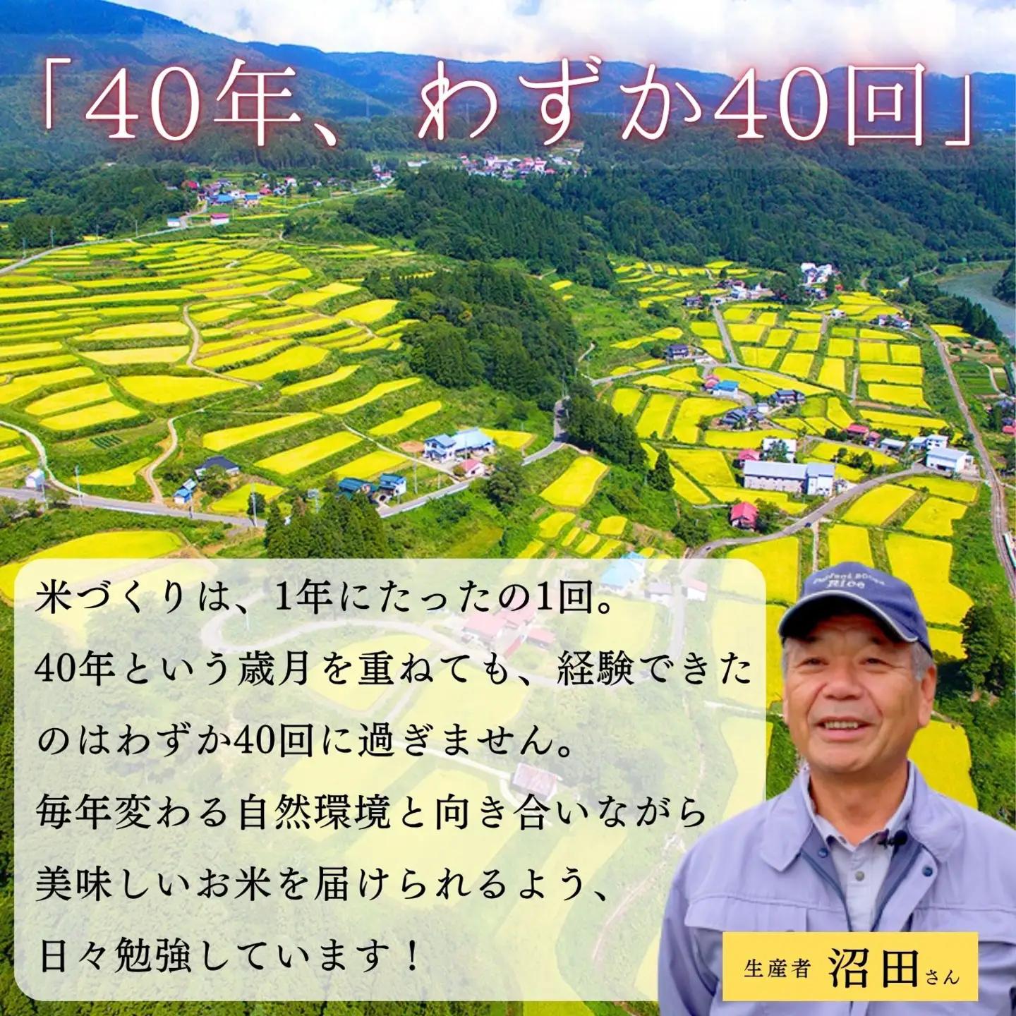 【令和7年産米】沼田さんちの満点 こしひかり 精米 5kg | お米 米 コメ ご飯 ごはん 白米 コシヒカリ 美味しい オススメ 長野県 飯山市 特A (7-57B)
