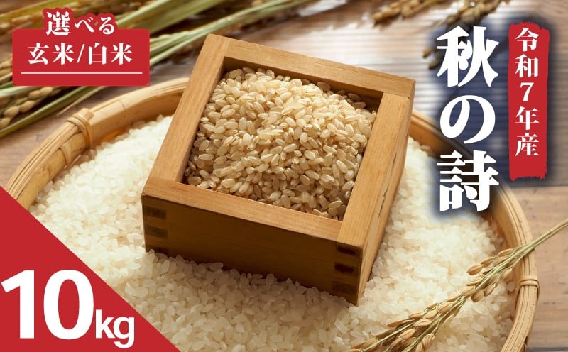 
            【 令和7年産 新米 10kg 】 秋の詩 選べる 米 白米 玄米 2025年産 あきのうた 国産 滋賀県 日野町 農家直送 お米 精米 おこめ こめ 産地直送 ふるさと納税
          