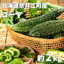 【ふるさと納税】北海道 奈井江町産 ゴーヤ 約2kg 5本～6本