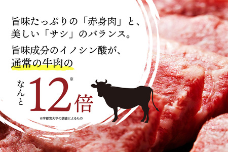 和牛焼肉／＜赤身の旨味＞京たんくろ和牛の焼肉 京丹後市 焼肉 500ｇ（2～3人前） 焼肉用肉・国産焼肉・赤身焼肉・和牛焼肉セット・牛肉 焼肉用・サシ 京たんくろ和牛 国産牛肉 肉牛 お肉・赤身肉・赤