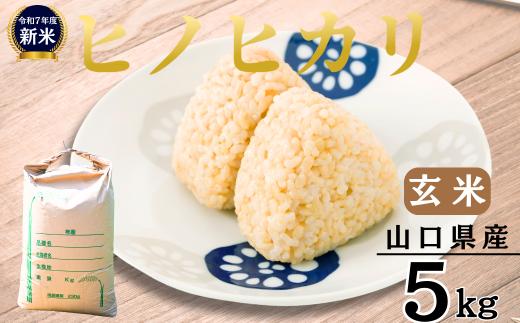 【先行予約／令和7年新米】 ヒノヒカリ 5kg ［玄米］［山口県宇部産］ 【令和7年度 新米 ヒノヒカリ 5Kg 玄米 山口県産 宇部産 地元米 農家直送 宇部市産 美味しい お米 寒暖差 霜降山麓 