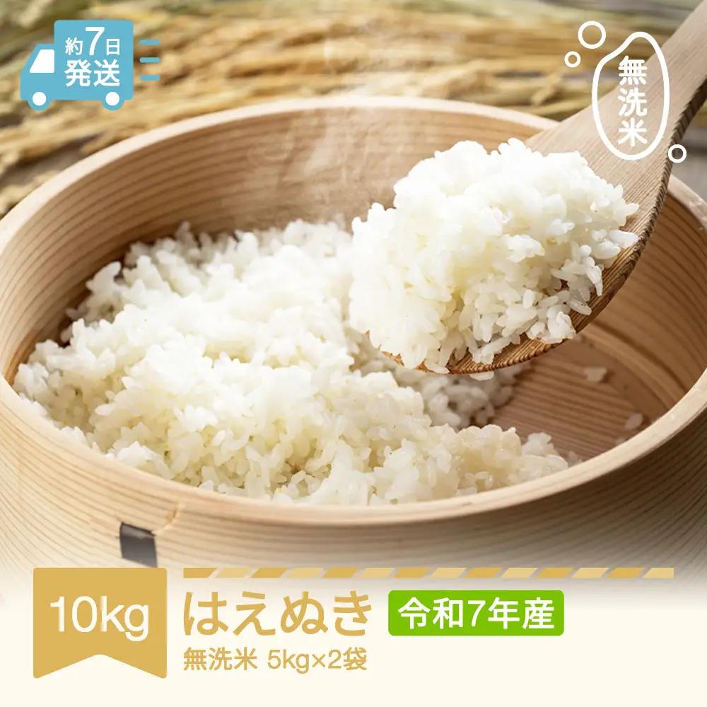 令和7年産 はえぬき 10kg 無洗米 はえぬき