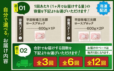 【 全6回 毎月 定期便 】 日本 の 米育ち 平田牧場 三元豚 ロース ブロック 600g T036-T06-02 定期 肉 お肉 にく 豚 豚肉 ブタ ぶた とんかつ 焼豚 黒豚 冷凍 バークシャ