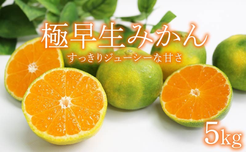 【先行予約】 黒潮の恵みをたっぷり浴びた さっぱり甘い 極早生みかん 5kg ～数量限定～ [rk049]