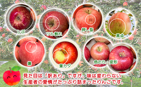 サンジョナゴールド 訳あり 高糖度 青森県産 サンジョナゴールド【約5kg 10〜16玉】