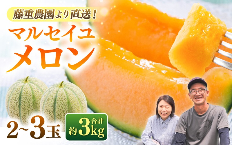 
                  【先行予約】藤重農園自慢のマルセイユメロン 2～3玉（合計約3kg）※2027年6月中旬以降順次発送 [aw083-a005]
                