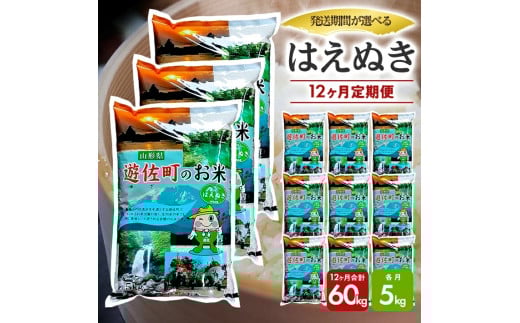 1245T11　【定期便】遊佐産はえぬき5kg×12ヶ月連続（11月～10月）