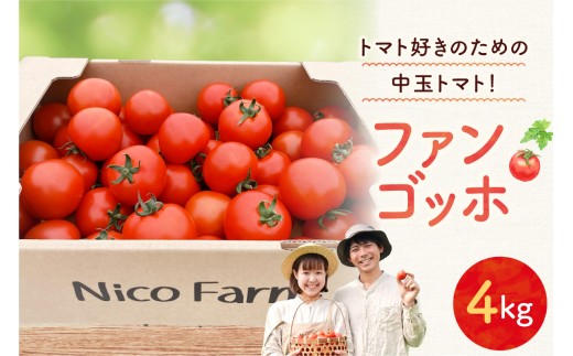 【先行予約2026年7月】トマト好き必見！食べ応え抜群！ファンゴッホ 4kg 肉厚中玉トマト 酸味と甘みのバランス