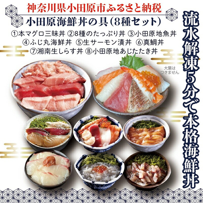 【高級食材本マグロ、曽我の梅干し、小田原地あじ、小田原港直送地魚丼、大磯港直送、湘南生しらす】小田原海鮮丼の具（8種セット）【 海鮮 神奈川県 小田原市 】