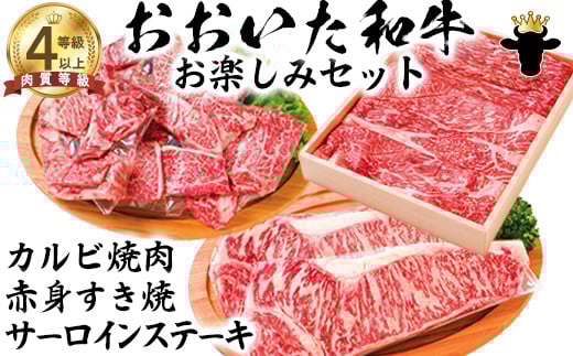 おおいた和牛 お楽しみセット（カルビ焼肉・赤身すき焼き・サーロインステーキ）【ニード牧場】 お楽しみ 黒毛和牛 豊後牛 牛肉 お肉 赤身 霜降り すき焼き すきやき ステーキ しゃぶしゃぶ 焼き肉 カルビ サーロイン セット キャンプ バーベキュー 国産 ＜129-015_5＞