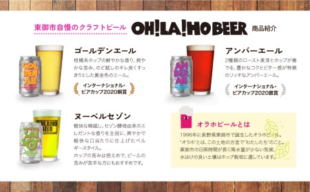 【6回定期便】オラホビール20本（3種合計20本）