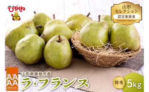 【令和7年産 先行予約】山形セレクション　ラ・フランス 5kg 山形県 東根市 hi069-010-1