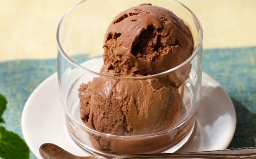 成城石井 くちどけなめらかなチョコレートアイス（110ml×24個） アイスクリーム 贈り物 ギフト お取り寄せ