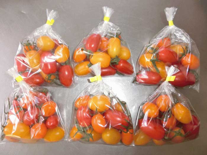 【訳あり】夏野菜セット3品【ミニトマト・なす・きゅうり】
