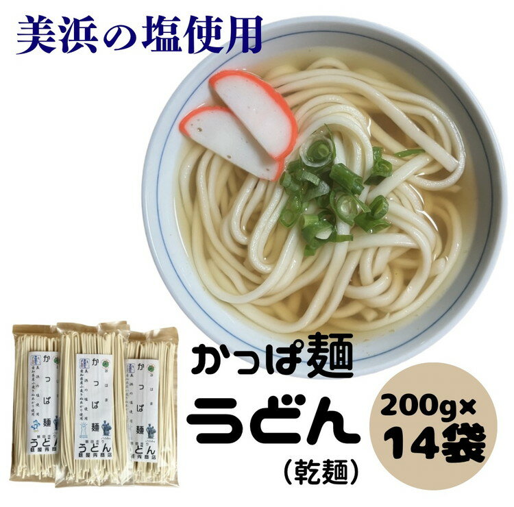 【ふるさと納税】かっぱ麺　うどん　1箱14袋入り ≪ウドン 饂飩 美浜の塩 愛知県 特産品≫◇