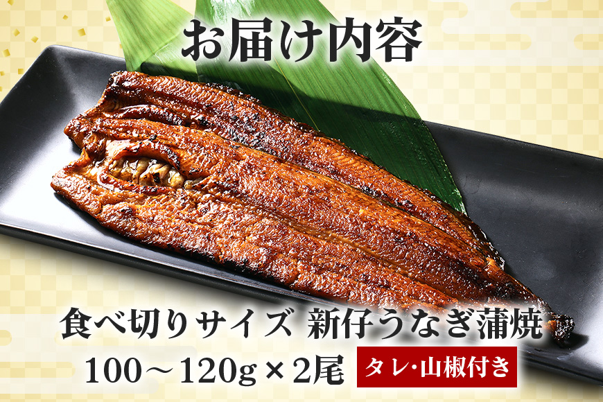 やわらか国内産 うなぎ蒲焼 食べ切りサイズ! 100〜120g 2尾 計200g以上 ふっくら蒲焼き ブランド鰻使用 秘伝のタレ・山椒付き 湯煎で簡単調理 うな丼 ちらし寿司 贈答用 ギフト 冷蔵配送