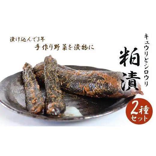 粕漬け2種セット 2025/9/19～