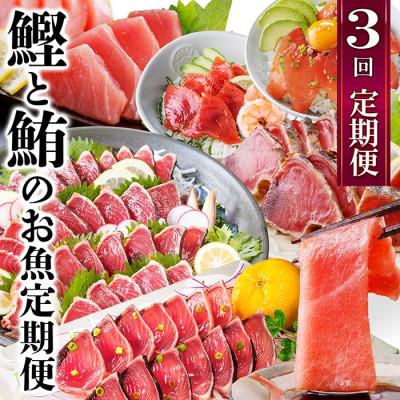 ふるさと納税 枕崎市 定期便3回配送　鰹とまぐろのお魚定期便　QQ-0005