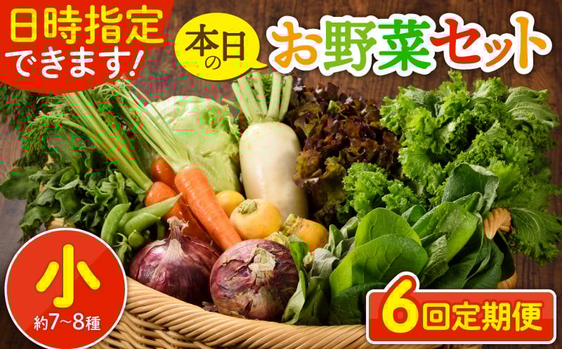 
            【6回定期便】日時指定OK！本日のお野菜セット 〈小サイズ/約7-8種〉 野菜詰め合わせ 有機栽培 野菜 定期便 果物 野菜セット 野菜定期便 6回 6ヵ月 野菜定期  産地直送
          