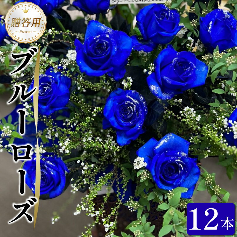 【ふるさと納税】 生花 ブルーローズ 12本 青バラ バラ 薔薇 花束 ローズ フラワー ブーケ 生け花 プレゼント 贈り物 ギフト 雑貨 インテリア 人気 記念日 誕生日 フラワーガーデンミモザ 徳島県 小松島