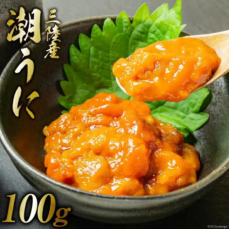 三陸産 潮うに 100g [大菊 宮城県 気仙沼市 20563727] ウニ 雲丹 うに ミョウバン不使用 塩うに 塩ウニ 粒うに キタムラサキウニ 冷凍 パック 塩分控えめ レビューキャンペーン