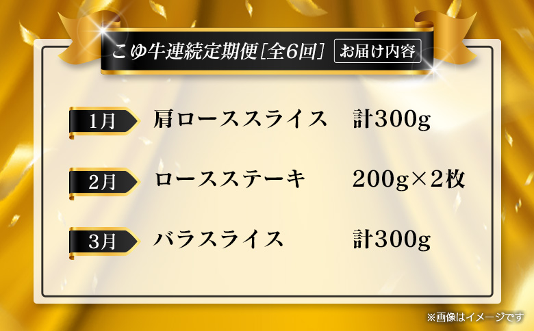 ＜年末年始限定!!＞厳選 黒毛和牛 お肉定期便 ［全6回］ 連続（1月～6月） 国産 牛肉 カルビ ステーキ ロース バラ モモ スライス 焼肉 しゃぶしゃぶ すき焼き 宮崎【E255】