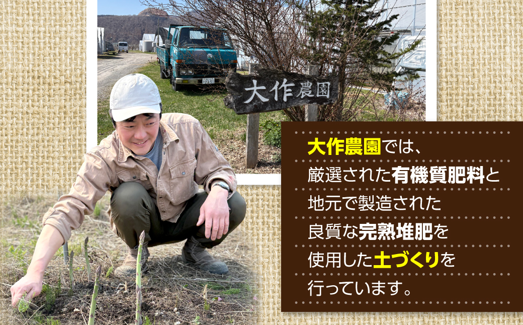 ＜2026年7月上旬よりお届け＞北海道壮瞥町産　大作農園「夏アスパラとカラフルミニトマト」のセット約1kg 先行予約 SBTR004