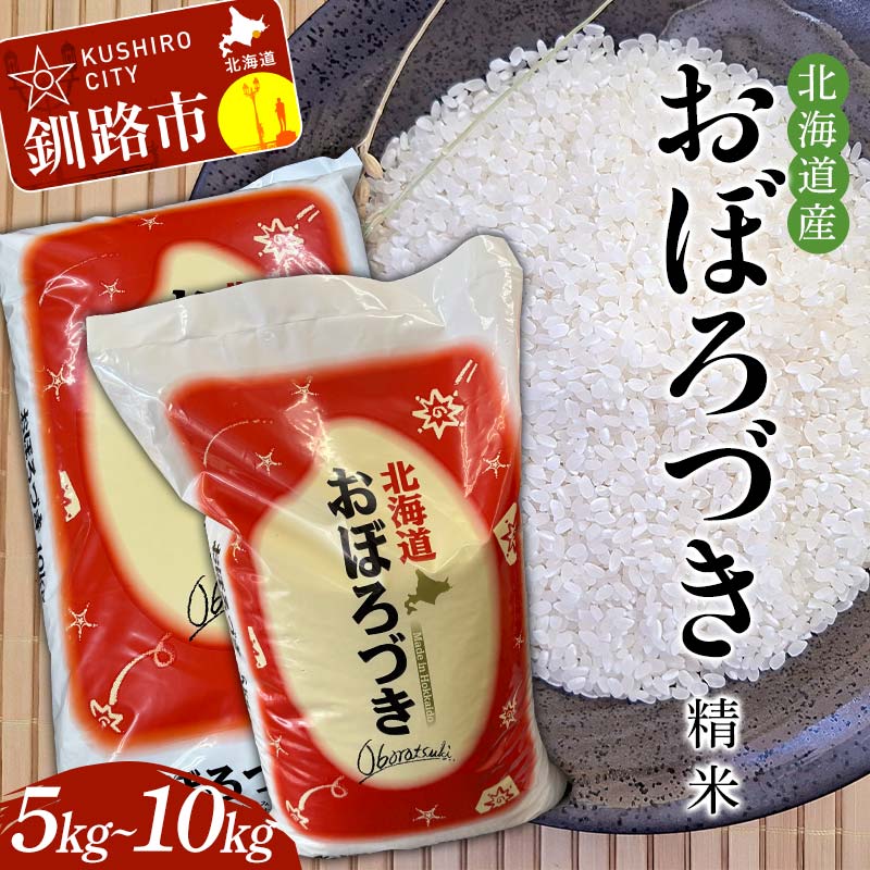 【ふるさと納税】＼容量が選べる！／ 精米仕立て発送 北海道産おぼろづき 5kg 10kg 北海道 白米 米 コメ こめ お米 F4F-8217var