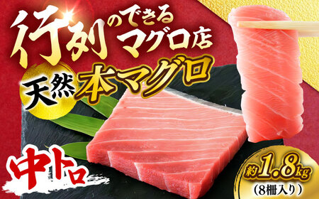天然 本まぐろ 中トロ 計約1.8kg （8柵入り）【横須賀商工会議所 おもてなしギフト事務局（本まぐろ直売所 横須賀本店）】[AKAK102]