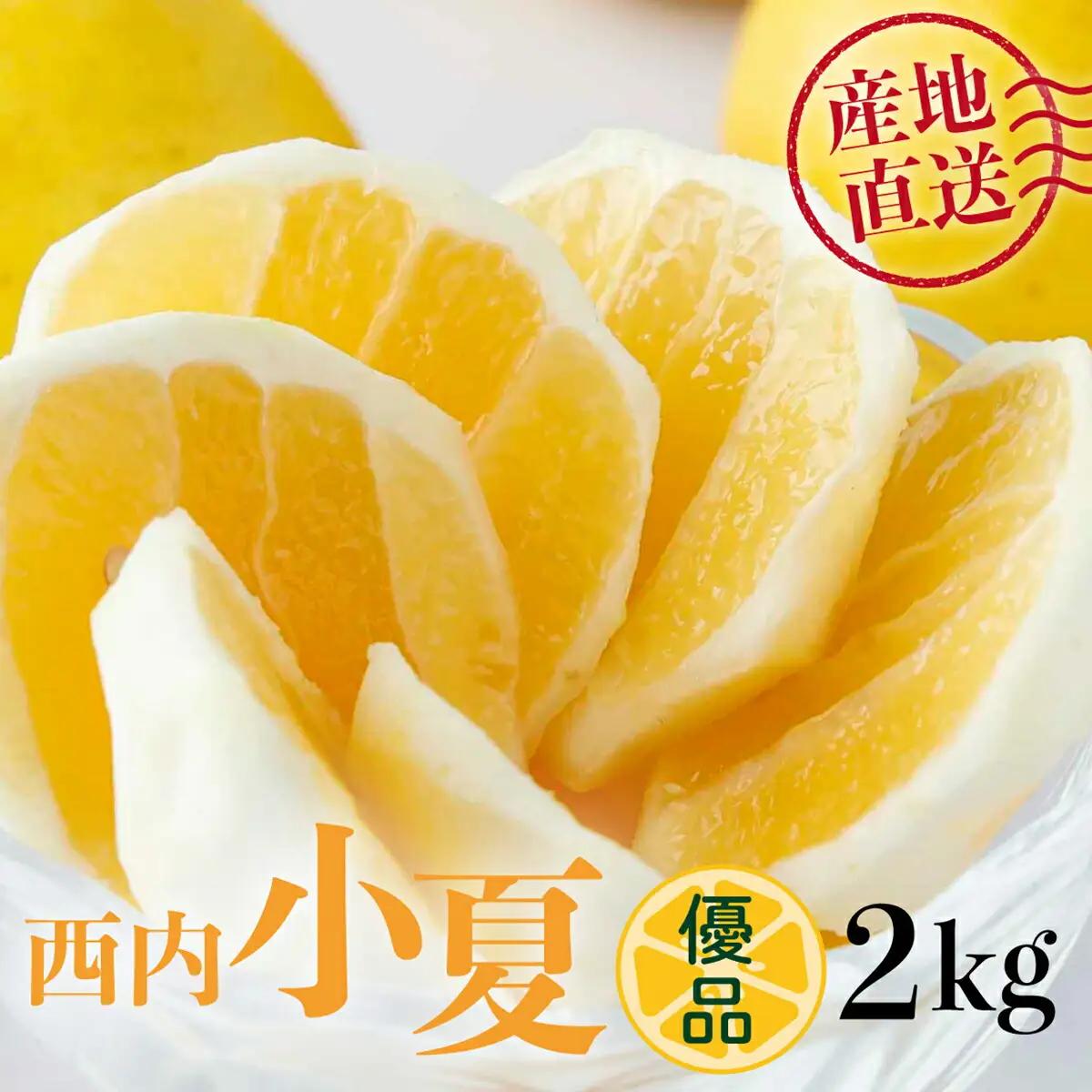 【ふるなびWEEK対象】＜優品＞西内小夏 2kg