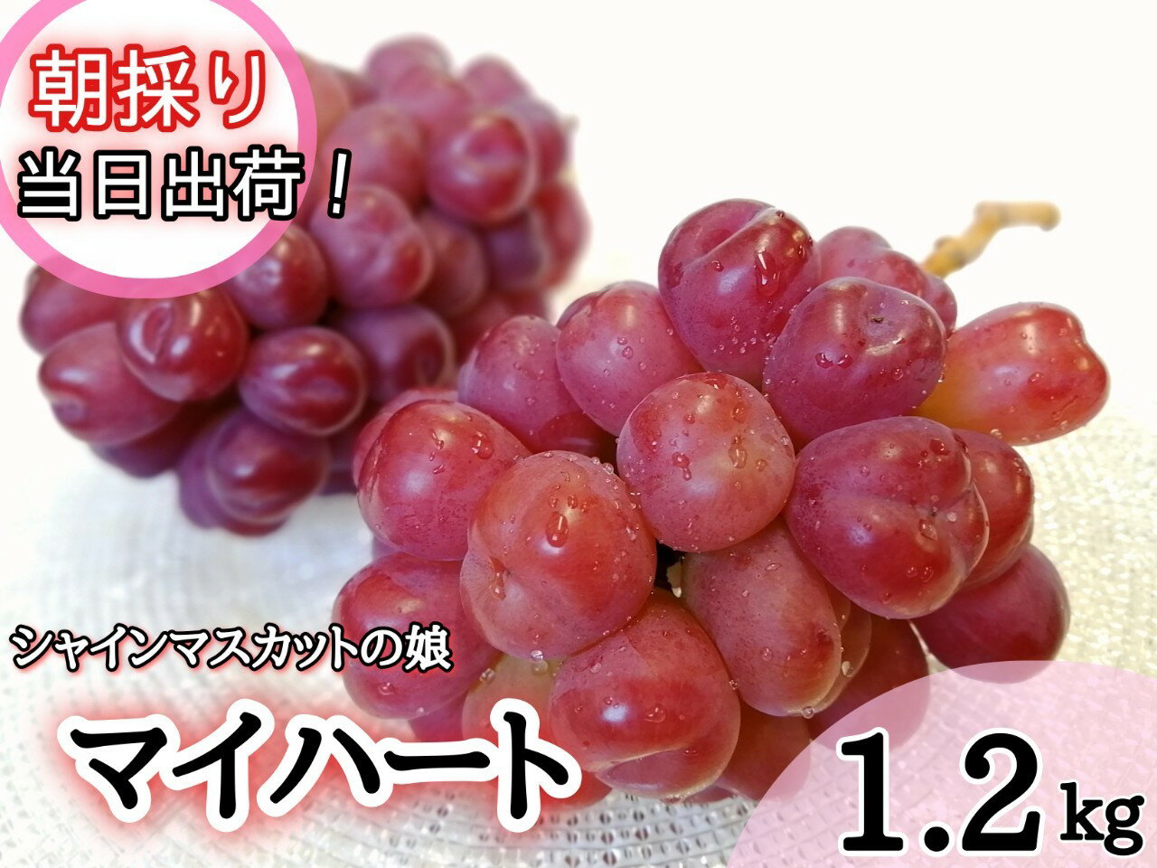 【ふるさと納税】【 限定品 】 シャインマスカット の娘『 マイハート 』　岡山の人気 ぶどう 1．2kg(2～3房)！　【2025年9月下旬～発送予定】離島発送不可/ ブドウ 葡萄 先行予約 フルーツ 果物 真庭市 マイハート 新鮮 当日出荷 ぶどう専門 林ファミリー